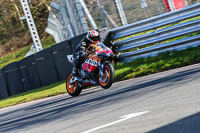 Oulton-Park-20th-March-2020;PJ-Motorsport-Photography-2020;anglesey;brands-hatch;cadwell-park;croft;donington-park;enduro-digital-images;event-digital-images;eventdigitalimages;mallory;no-limits;oulton-park;peter-wileman-photography;racing-digital-images;silverstone;snetterton;trackday-digital-images;trackday-photos;vmcc-banbury-run;welsh-2-day-enduro